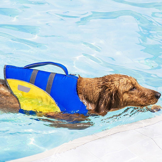 Woven Dog Life Vest