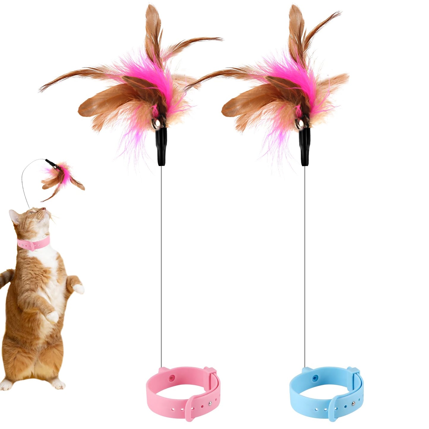 Cat Collar Toy