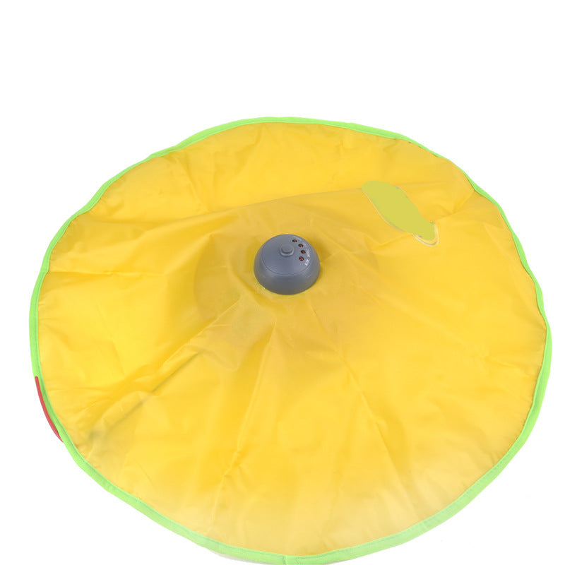 Electric Cat Toy